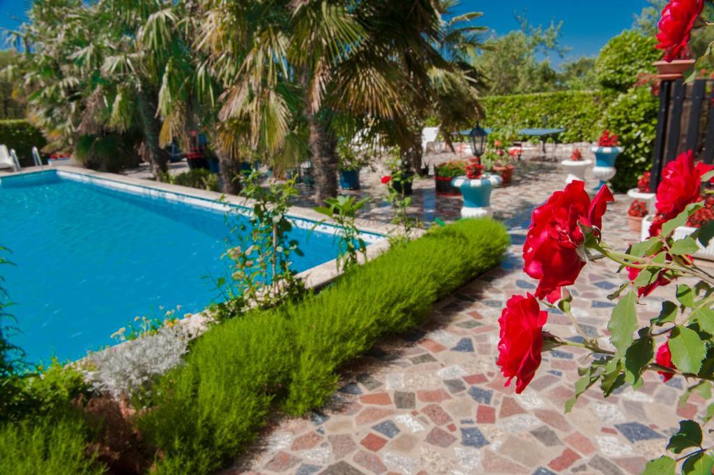 Apartments Paradis روفينج المظهر الخارجي الصورة